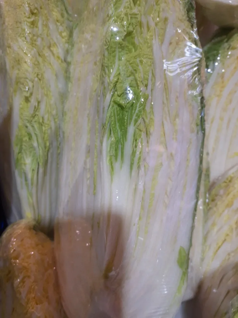 切ってから半日経って水分が飛び始めた白菜