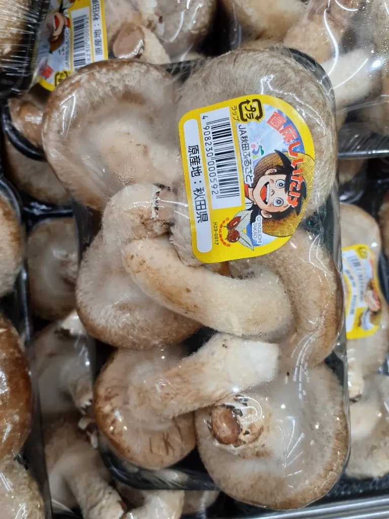 生シイタケ